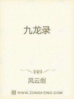 九龙录